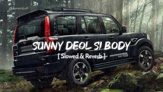 Sunny Deol Si Body Re ( Slowed & Reverb ) Raju Punjabi | Choudhar Jaat Ki Latest Haryanvi Song