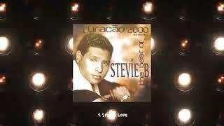 Stevie B - Spring Love