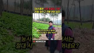 1년에 20일만 수확하고 8천만원 버는 명이나물 농부의 성공기