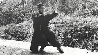 Learn Tai Chi from a Tai Chi Master: Lou Xi Ao Bu 武当太极拳经典招式之搂膝拗步