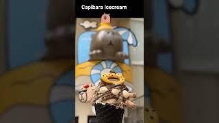 cute capybara ice cream cones#capybaralife #capibara #carpincho #capybara #icecreamcones