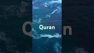 Surah Aale Imran Urdu translation