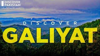 Discover Galiyat | Ayubia National Park | Discover Pakistan