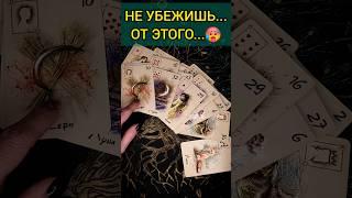 ЭТО СРОЧНО ВАЖНО ЧЕГО НЕ ИЗБЕЖАТЬ? ЧТО ЖДЁТ?  расклад таро #shorts  #гадание #таро