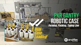 EndFlex PKR Gantry Robotic Top Load Case Packing System for Tubs