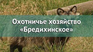 Охота в Тульской области – Охотничье хозяйство «Бредихинское» охота на вальдшнепа в Тульской области