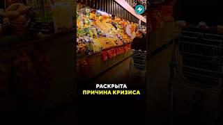 Раскрыта причина кризиса / Новости #овощи #картошка #капуста #лук #урожай #кризис #дефицит