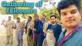 Introduction to falconry with senior falconers || falconry art of kings