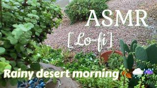 ASMR | Rainy Desert Morning | Lo-fi | Ambience | No Talking | Autumn ️️