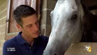 Palio di Siena, Tittia, il fantino dei record che va a caccia della stella