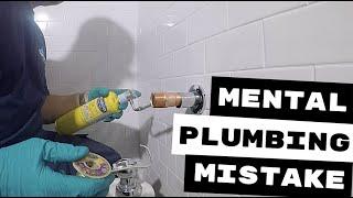 PLUMBING REPAIRS | MENTAL MISTAKES HAPPEN | FLUSHOMETER INSTALL