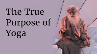 The True Purpose of Yoga - Exploring the True Potential of Being Human | Sadhguru