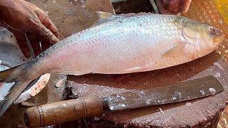 Amazing cutting Skills | Delicious Hilsa-Rohu-Katla Fish Cutting Skills In Fish Market