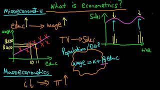 What is econometrics