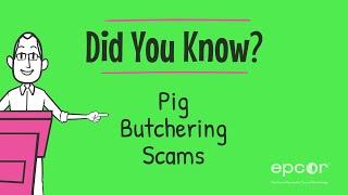 Pig Butchering Scams