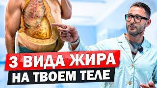 Пивной живот убивает твой организм. Почему это происходит и как на это повлиять?