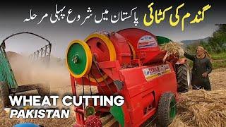 Wheat Harvesting In Pakistan 2023 | Thresher New Model 2023 | Asif Jutt Vlogs