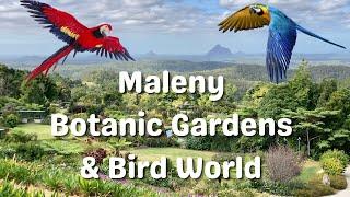 Maleny Botanic Gardens & Bird World, Sunshine Coast I Queensland, Australia Travel Vlog 155, 2023