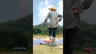 Diệpnôngthôn