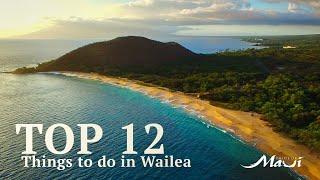 Top 12 Things To Do in Wailea | South Maui Activities