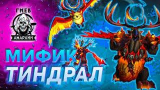 Тиндрал Мифик | Гнев Анархии | Амирдрассил | Dragonflight