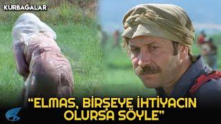 Kurbağalar Türk Filmi | Elmas, Dul Kalıyor!