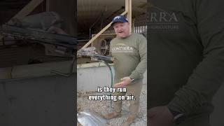 How Amish Builders Operate