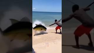 nombak ikan besar di tepi pantai