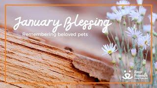 January 2025 Blessing from Angels Rest for Beloved Pets 