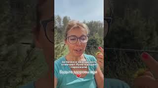 Объясняю, как выглядит связь здоровья и реализации в натальной карте #джйотиш #здоровье #реализация
