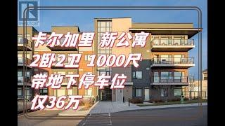 卡尔加里 1000尺超大 新公寓 36万 双主卧带双全卫 带1地下车位 全屋9尺高天花板