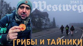 Westweg Etappe 5. Поход в сердце Шварцвальда