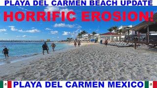 PLAYA  DEL CARMEN MEXICO BEACH AND SEAWEED UPDATE - HORRIFIC EROSION