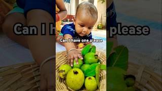 Guava harvestingin my garden#shorts#yt shorts#viral video