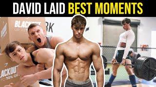 DAVID LAID BEST MOMENTS | Gymshark