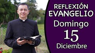 Evangelio de Hoy Domingo 15 de Diciembre de 2024  Lectura y Reflexión