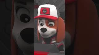 Ал и отломки помагат на падащ сателит - #pawpatrol #песпатрул  #карикатури