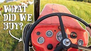 OUR OWN TRACTOR AT LAST! - WAS IT THE RIGHT CHOICE? 