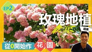 【從0開始作花園EP2-玫瑰地植篇】5步驟完全保母級教材，想種玫瑰的你，必須點進這部影片。事前的準備工作，定植方法以及後續維護，你必須點進這部影片。＃怎麼種玫瑰＃伊恩愛種花 #园艺#花园打理#种植