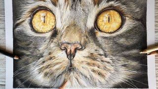 Drawing a Cat's Nose and Mouth | Polychromos Colour Pencil Tutorial