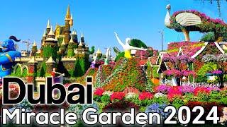 Dubai Miracle Garden Open Now|4K| 2023-2024 Season 12 