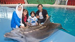 Best Dolphin Experience in Dubai   | UAE's No.1 Dolphin & Seal Show !