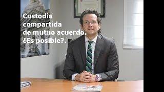 Custodia compartida de mutuo acuerdo.