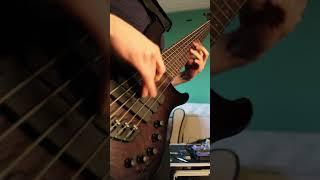 Omnipresent Perception Bass Solo