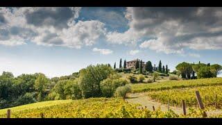 Driven Pheasant & Partridge Shooting at Montenero Todi – Umbria – Italy