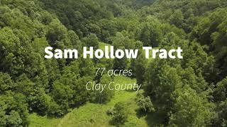 Sam Hollow Tract - Clay County