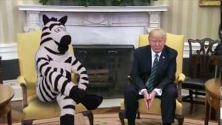 #JustAddZebras