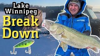 Lake Winnipeg Greenback Walleye Break Down