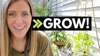 10 ways to GROW your bookkeeping business