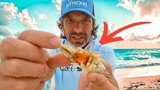 How to Spot, Catch, Rig, and Store **SAND FLEAS** The All in One Mole Crab Video.